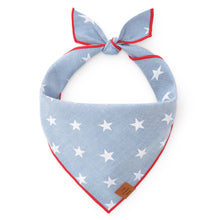 Load image into Gallery viewer, Liberty Dog Bandana