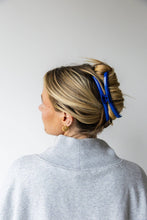 Load image into Gallery viewer, Shiny Hold Everything Clip