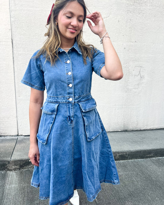 Benson Denim Button Up Dress