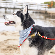 Load image into Gallery viewer, Liberty Dog Bandana