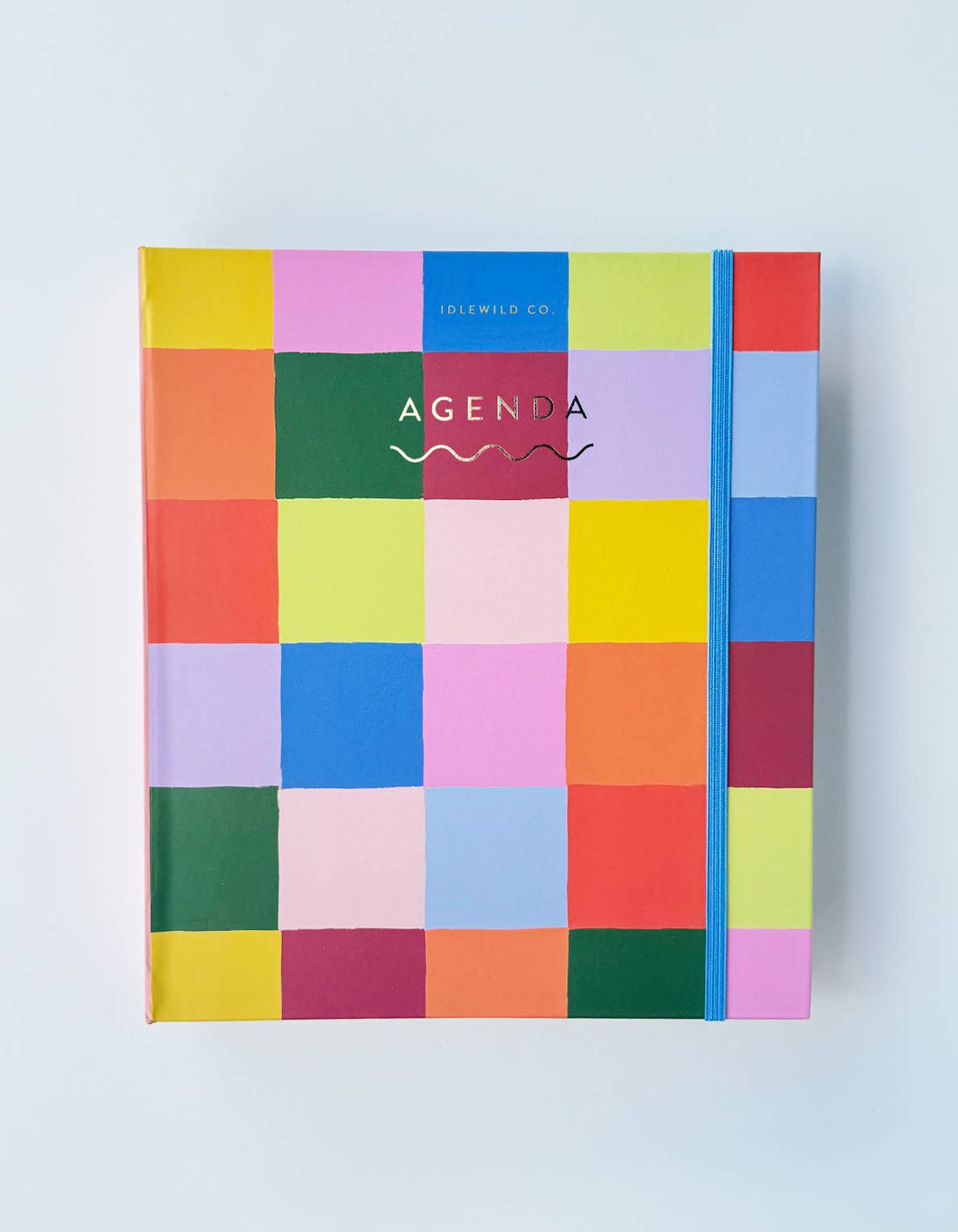 Durham Organization Collection: Undated Planner in Rainbow Check