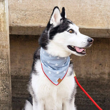 Load image into Gallery viewer, Liberty Dog Bandana