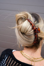 Load image into Gallery viewer, Shiny Hold Everything Clip