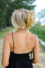 Load image into Gallery viewer, Matte Original Hold Everything Clip