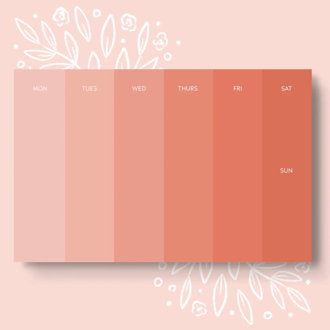 Durham Organization Collection: Ombre Weekly Planner
